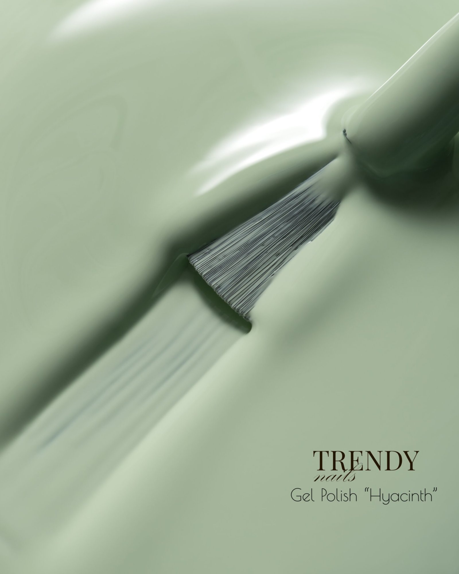 Gelinis lakas „Hyacinth”