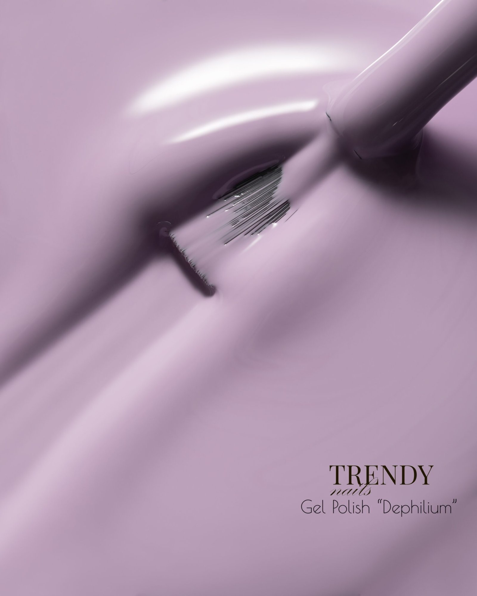 Gelinis lakas „Delphinium”