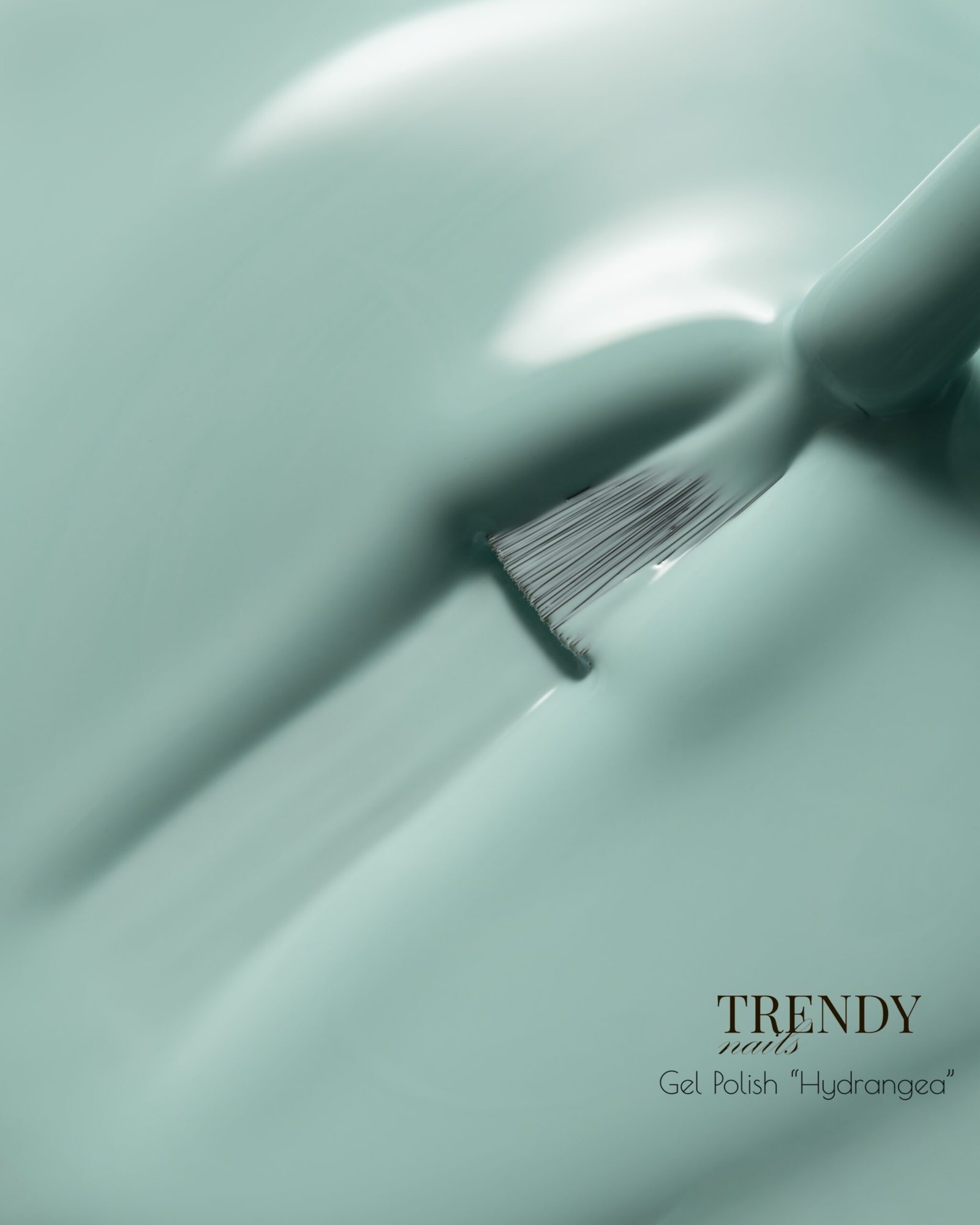 Gelinis lakas „Hydrangea”