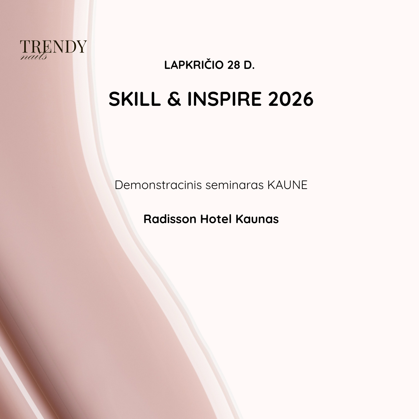 SKILL & INSPIRE seminaras KAUNAS 11.28
